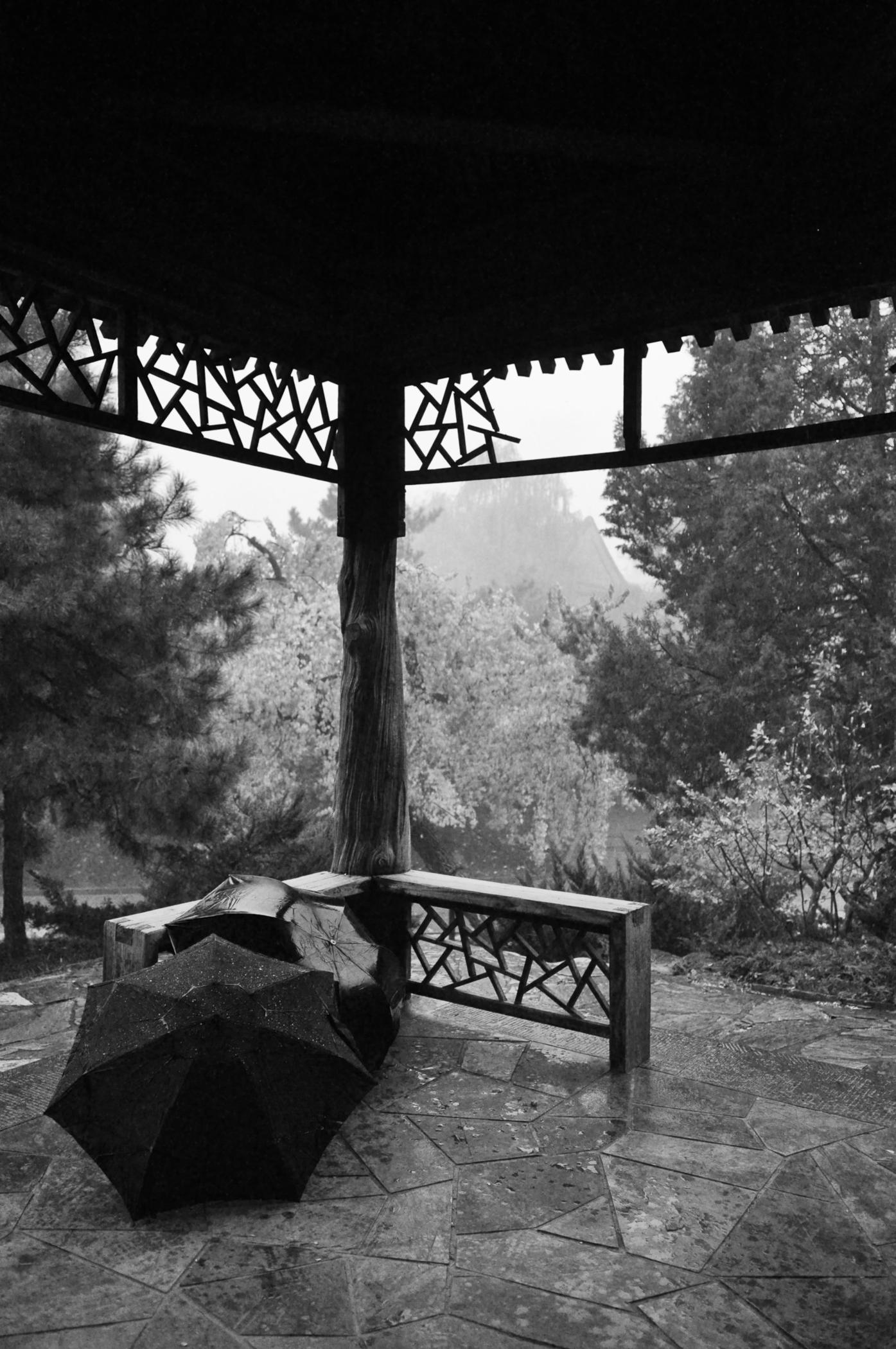 Two closed umbrellas resting on a bench in a rain-washed pavilion, black and white photograph